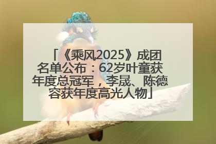 《乘风2025》成团名单公布：62岁叶童获年度总冠军，李晟、陈德容获年度高光人物