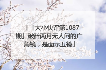 「大小快评第1087期」破碎两月无人问的广角镜，是面示丑镜