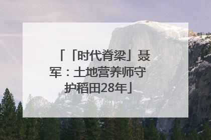 「时代脊梁」聂军：土地营养师守护稻田28年