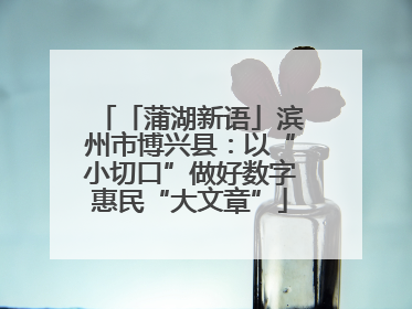 「蒲湖新语」滨州市博兴县：以“小切口”做好数字惠民“大文章”