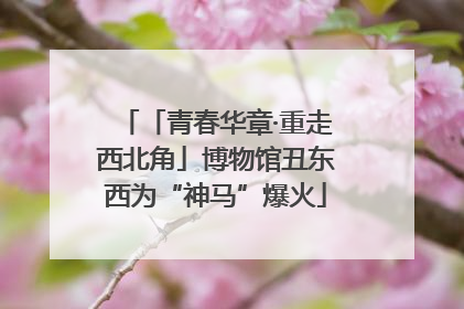「青春华章·重走西北角」博物馆丑东西为“神马”爆火