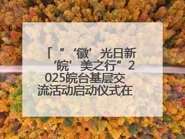 “‘徽’光日新‘皖’美之行”2025皖台基层交流活动启动仪式在芜举行