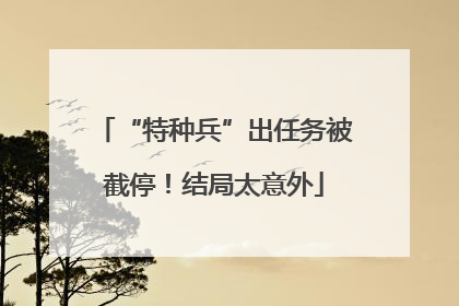 “特种兵”出任务被截停！结局太意外