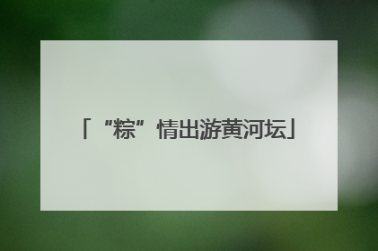 “粽”情出游黄河坛