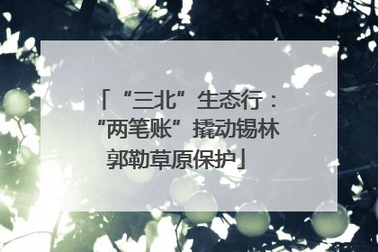 “三北”生态行：“两笔账”撬动锡林郭勒草原保护