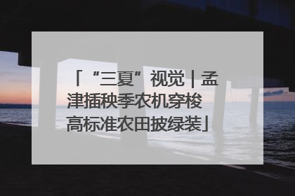 “三夏”视觉｜孟津插秧季农机穿梭 高标准农田披绿装