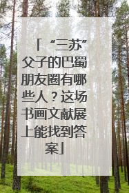 “三苏”父子的巴蜀朋友圈有哪些人？这场书画文献展上能找到答案