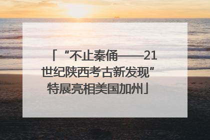 “不止秦俑——21世纪陕西考古新发现”特展亮相美国加州