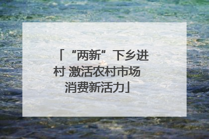 “两新”下乡进村 激活农村市场消费新活力