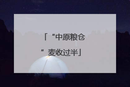 “中原粮仓”麦收过半