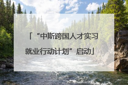 “中斯跨国人才实习就业行动计划”启动