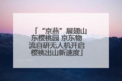 “京燕”展翅山东樱桃园 京东物流自研无人机开启樱桃出山新速度