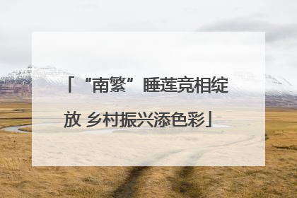 “南繁”睡莲竞相绽放 乡村振兴添色彩
