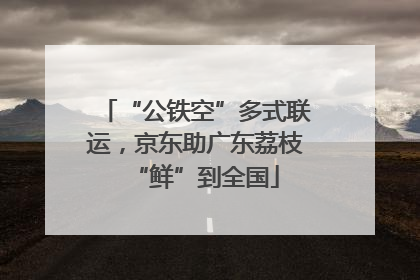 “公铁空”多式联运，京东助广东荔枝“鲜”到全国