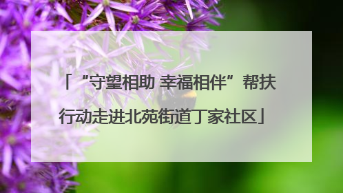 “守望相助 幸福相伴”帮扶行动走进北苑街道丁家社区