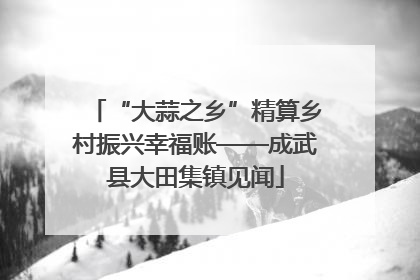 “大蒜之乡”精算乡村振兴幸福账——成武县大田集镇见闻