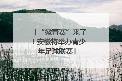 “徽青赛”来了！安徽将举办青少年足球联赛