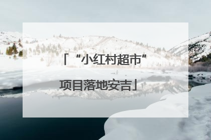 “小红村超市”项目落地安吉