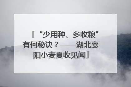 “少用种、多收粮”有何秘诀？——湖北襄阳小麦夏收见闻