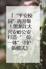 “平安校园”再升级！黑龙江大兴安岭公安打造“三位一体”守护新模式