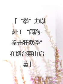 “拳”力以赴！“闹海·拳击狂欢季”在烟台莱山启幕