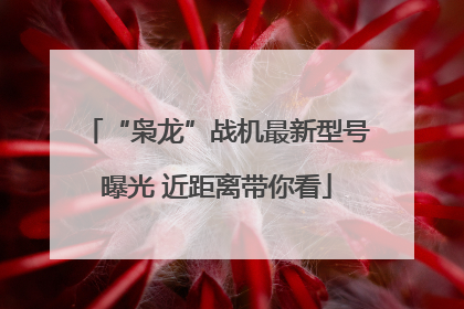 “枭龙”战机最新型号曝光 近距离带你看