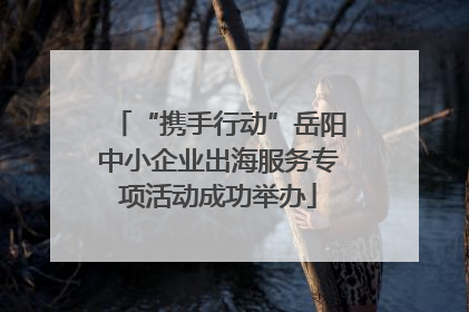 “携手行动”岳阳中小企业出海服务专项活动成功举办
