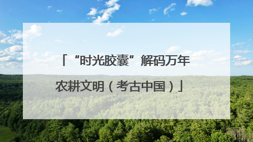 “时光胶囊”解码万年农耕文明（考古中国）