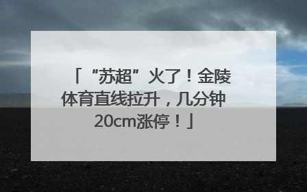 “苏超”火了！金陵体育直线拉升，几分钟20cm涨停！