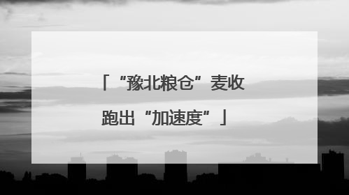 “豫北粮仓”麦收跑出“加速度”