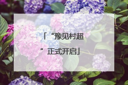 “豫见村超”正式开启
