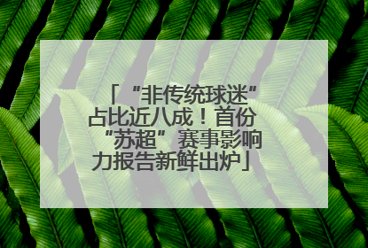 “非传统球迷”占比近八成！首份“苏超”赛事影响力报告新鲜出炉
