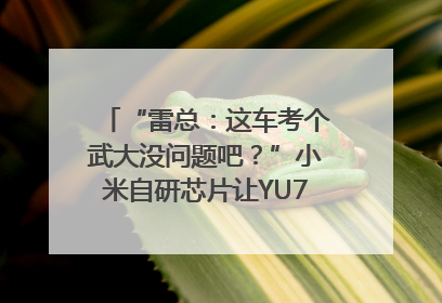 “雷总：这车考个武大没问题吧？”小米自研芯片让YU7会学习｜汽车科技