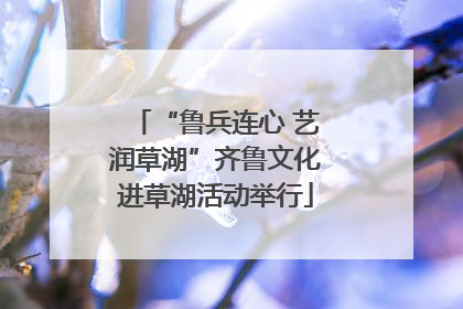 “鲁兵连心 艺润草湖”齐鲁文化进草湖活动举行