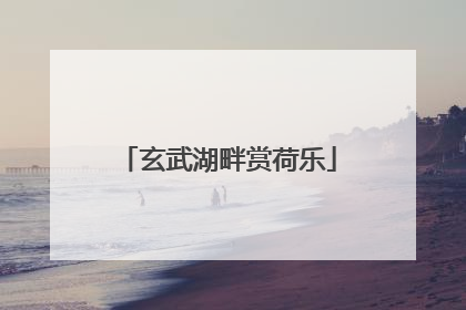 玄武湖畔赏荷乐