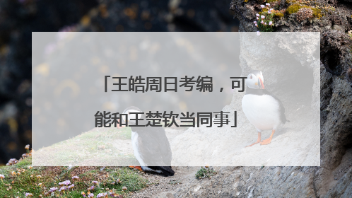 王皓周日考编，可能和王楚钦当同事