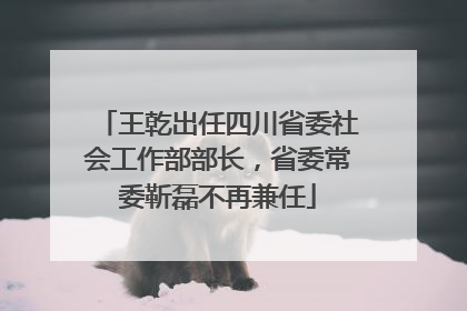 王乾出任四川省委社会工作部部长，省委常委靳磊不再兼任