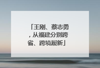 王刚、蔡志勇，从福建分别跨省、跨境履新