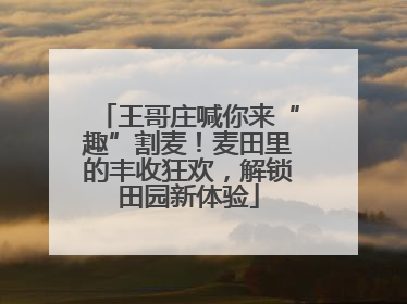 王哥庄喊你来“趣”割麦！麦田里的丰收狂欢，解锁田园新体验
