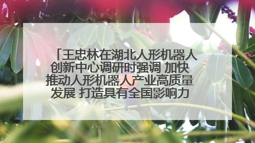 王忠林在湖北人形机器人创新中心调研时强调 加快推动人形机器人产业高质量发展 打造具有全国影响力的研发创新基地