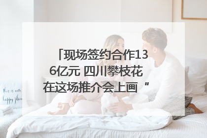 现场签约合作136亿元 四川攀枝花在这场推介会上画“图谱”列“清单”