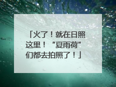 火了！就在日照这里！“夏雨荷”们都去拍照了！