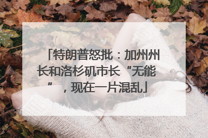 特朗普怒批：加州州长和洛杉矶市长“无能”，现在一片混乱