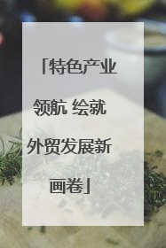 特色产业领航 绘就外贸发展新画卷