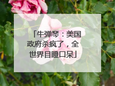 牛弹琴：美国政府杀疯了，全世界目瞪口呆
