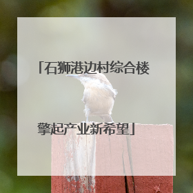 石狮港边村综合楼擎起产业新希望