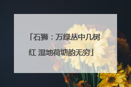 石狮：万绿丛中几树红 湿地荷塘韵无穷