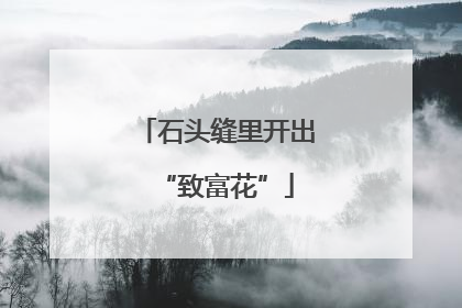 石头缝里开出“致富花”