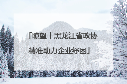 瞭望丨黑龙江省政协精准助力企业纾困