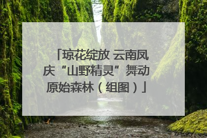 琼花绽放 云南凤庆“山野精灵”舞动原始森林（组图）